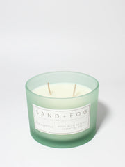 Eucalyptus 12 oz scented candle