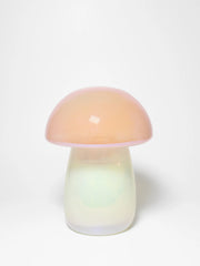 Mango Tangerine 12 oz scented candle