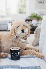 Sand + Paws Teakwood 11.5 oz scented candle