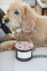 Sand + Paws Amber & Fig 12 oz scented candle