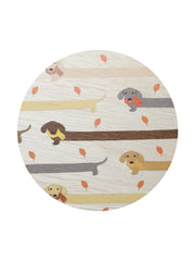 Sand + Paws Apple Cider 12 oz scented candle