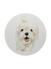 Sand + Paws Vanilla Sandalwood 12 oz scented candle