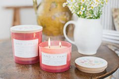 Sand + Paws Coconut & Palm 12 oz scented candle