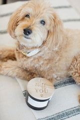 Sand + Paws Teakwood 12 oz scented candle