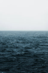 Cobalt 50 ml Whiskey and Leather Perfume Oil Dropper