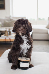 Sand + Paws Rain 12 oz scented candle