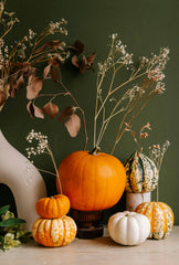 Pumpkin & Eucalyptus 12 oz scented candle