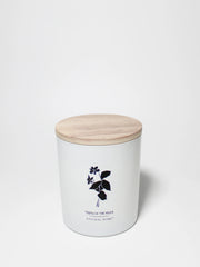 Tides of the Moon Natural Home 11.5 oz scented candle