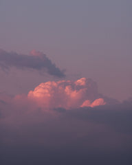 Sweet Dreams 50ml Perfume Oil Rollerball