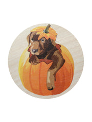 Sand + Paws Cinnamon Pumpkin 12 oz scented candle