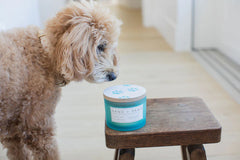 Sand + Paws Tides of the Moon 12 oz scented candle