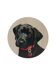 Sand + Paws Cedar & Lavender 12 oz scented candle