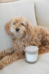 Sand + Paws Teakwood 21 oz scented candle