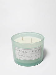 Eucalyptus Mint 12 oz scented candle