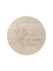 Fresh Lilac 12 oz scented candle