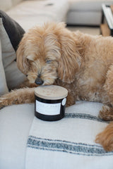 Sand + Paws California Beach House 12 oz scented candle