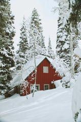 Winter White 100 ml Room Spray