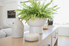 Tropical Citrus 34 oz scented candle