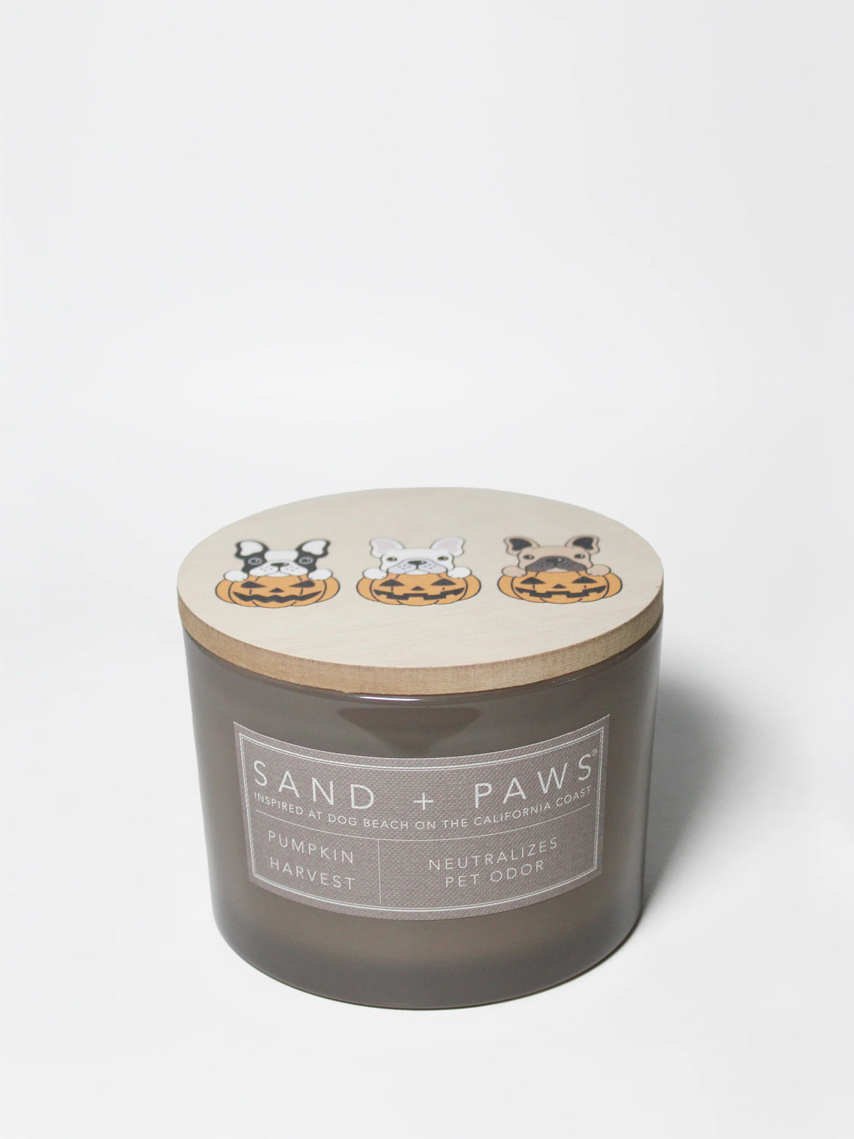 Sand + Paws Pumpkin Harvest 12 oz scented candle