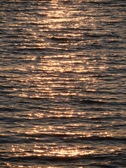 Golden Glow 50ml Perfume Oil Rollerball